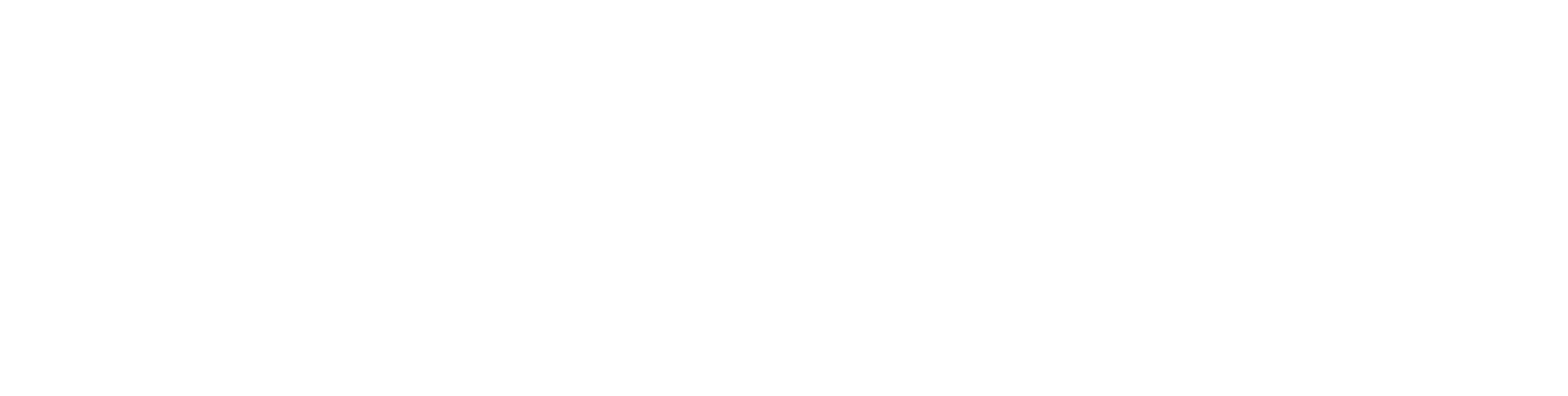 EAA ELECTRODE