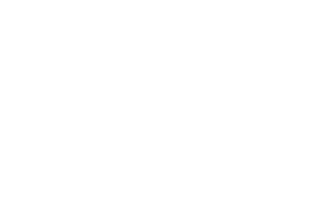EAA ELECTRODE